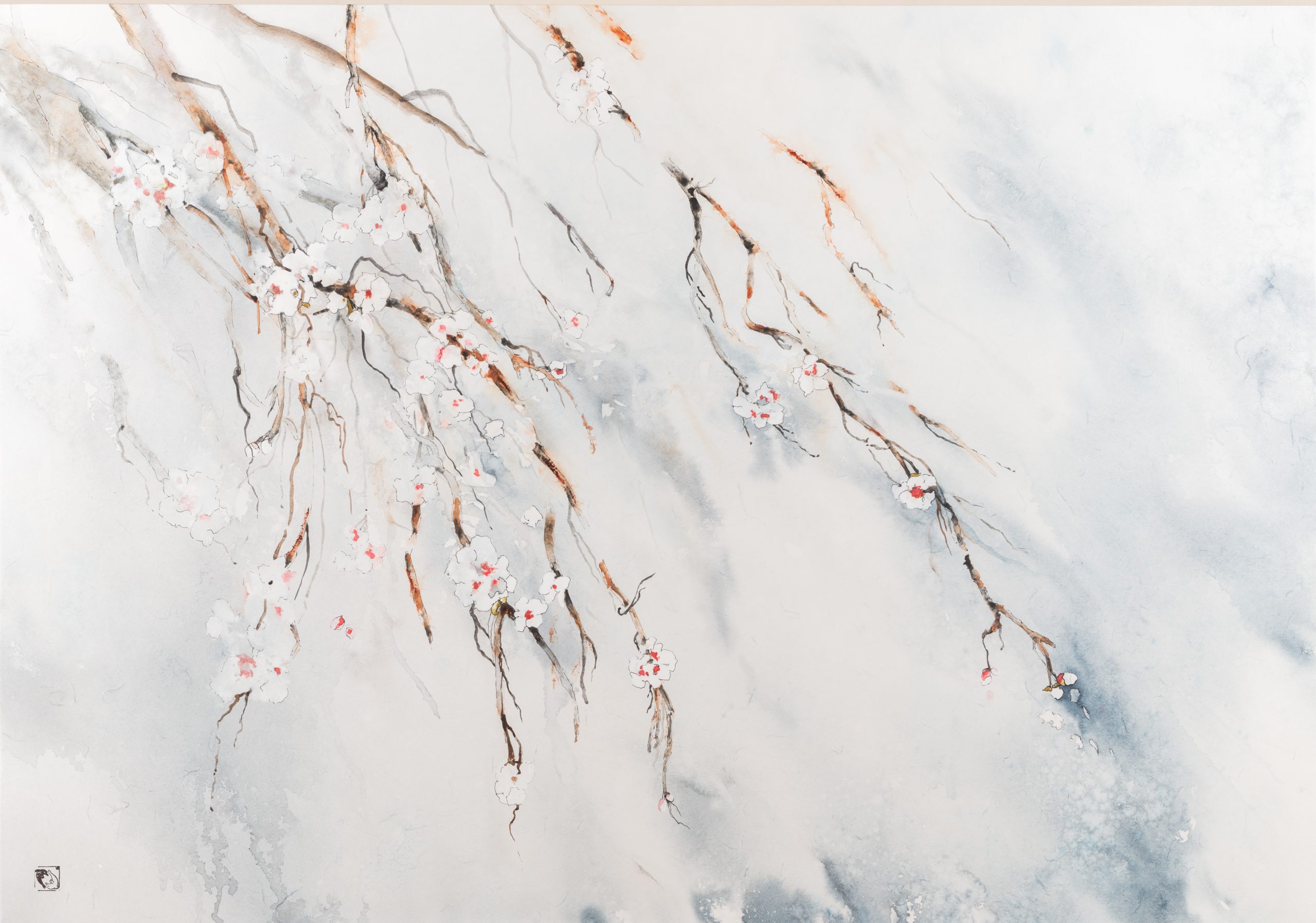 CERISIERS EN  FLEURS - 2020